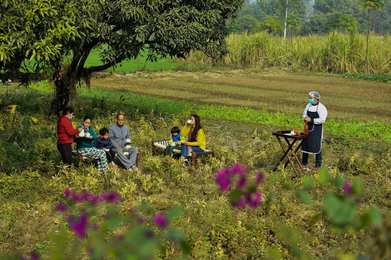 Sukoon Retreat&Spa Dakpathar Villa Chuharpur Bagian luar foto