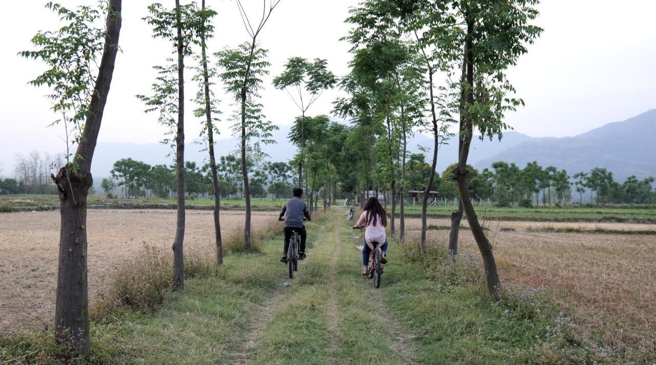 Sukoon Retreat&Spa Dakpathar Villa Chuharpur Bagian luar foto